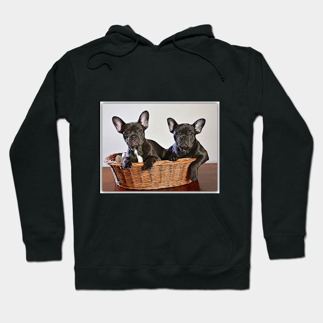 French Bulldogs In A Basket Hoodie by cameradog